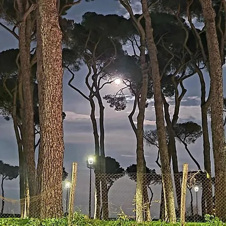 La Casa Della Pineta 別荘